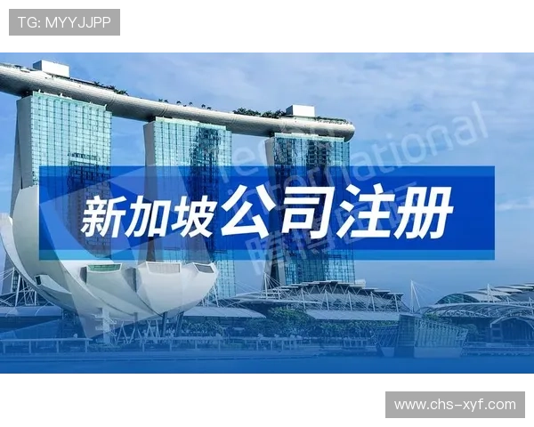 火博登录账号注册流程详解帮助新用户快速完成注册步骤