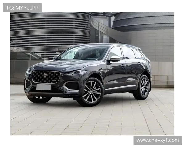 捷豹在线娱乐：引领行业的创新技术打造极致流畅的游戏体验，享受极致快感